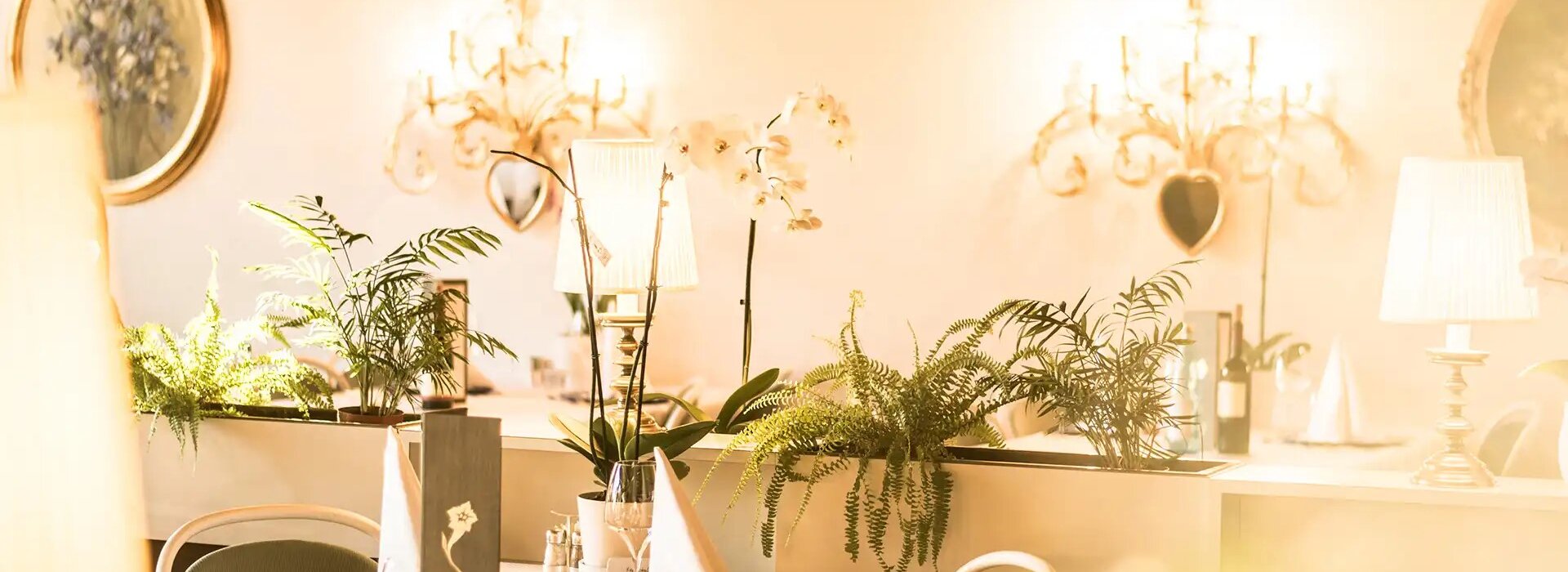 Dining in Elegant Surroundings